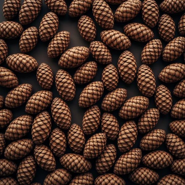 Closed pine cones with tightly overlapping woody scales, packed in a single layer across a dark surface