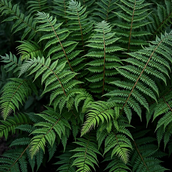 A close mass of overlapping green fern fronds filling the frame, their fine paired leaflets layered several deep
