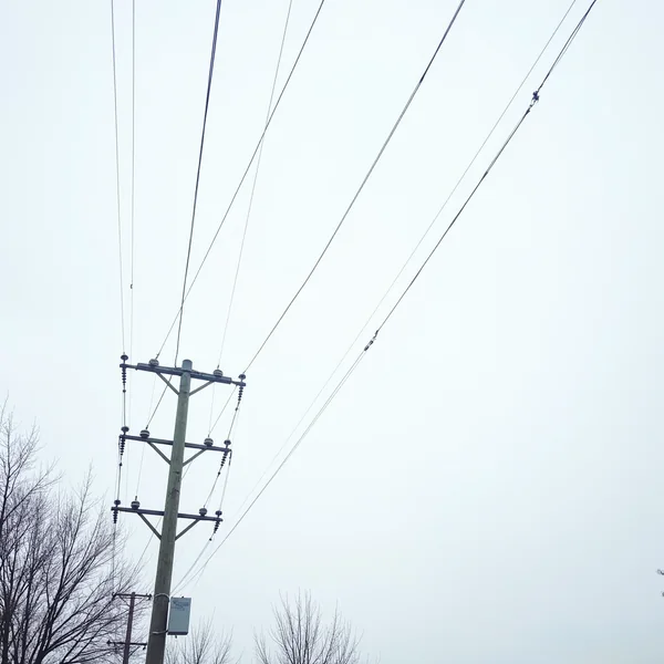 A wooden utility pole with three crossarms and rows of insulators seen from below, its overhead conductors fanning out across a flat pale overcast sky, bare tree branches at the lower edges of the frame