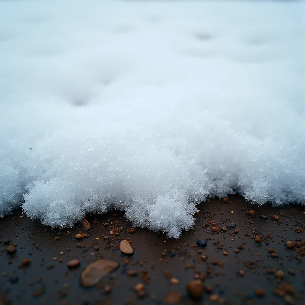 The ragged edge of a crust of granular melting snow meeting dark wet soil scattered with small brown pebbles, photographed close to the ground